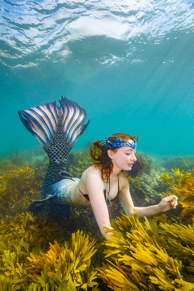 FaeFins/Mermaid Marianne by Martin Stevens