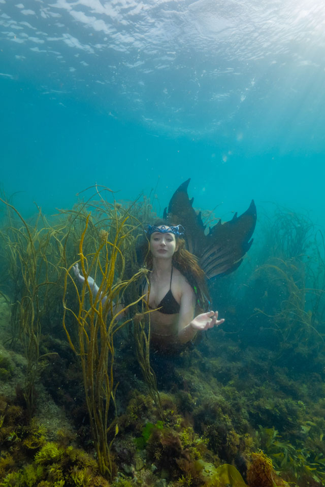 FaeFins/Mermaid Marianne by Martin Stevens