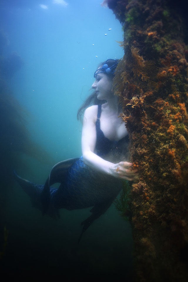 FaeFins/Mermaid Marianne by Will Faulkner